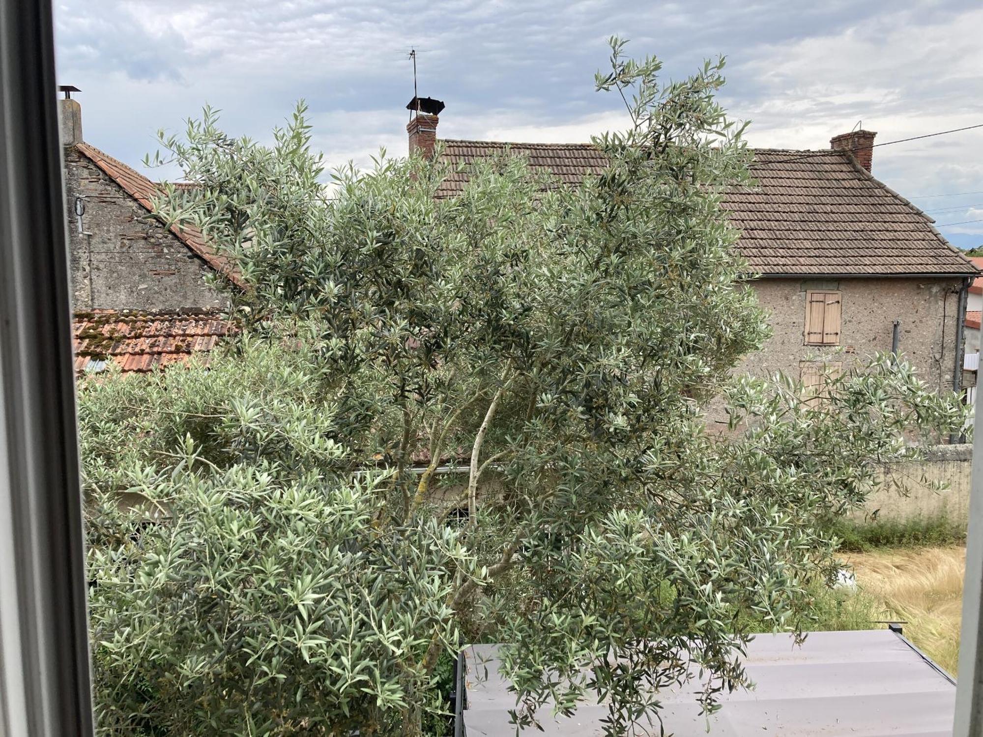 Location Appartement Des Pyrenees Borderes-sur-l'Echez Zimmer foto